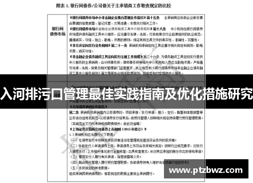 入河排污口管理最佳实践指南及优化措施研究