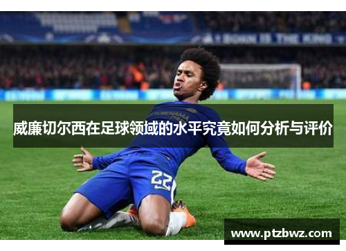 威廉切尔西在足球领域的水平究竟如何分析与评价