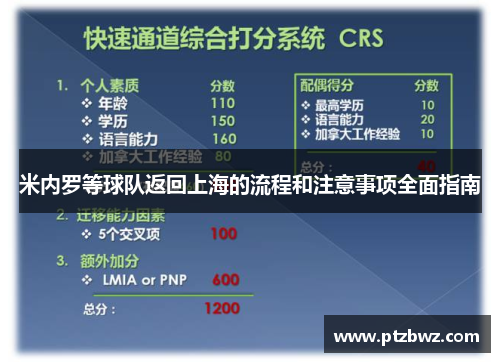 米内罗等球队返回上海的流程和注意事项全面指南